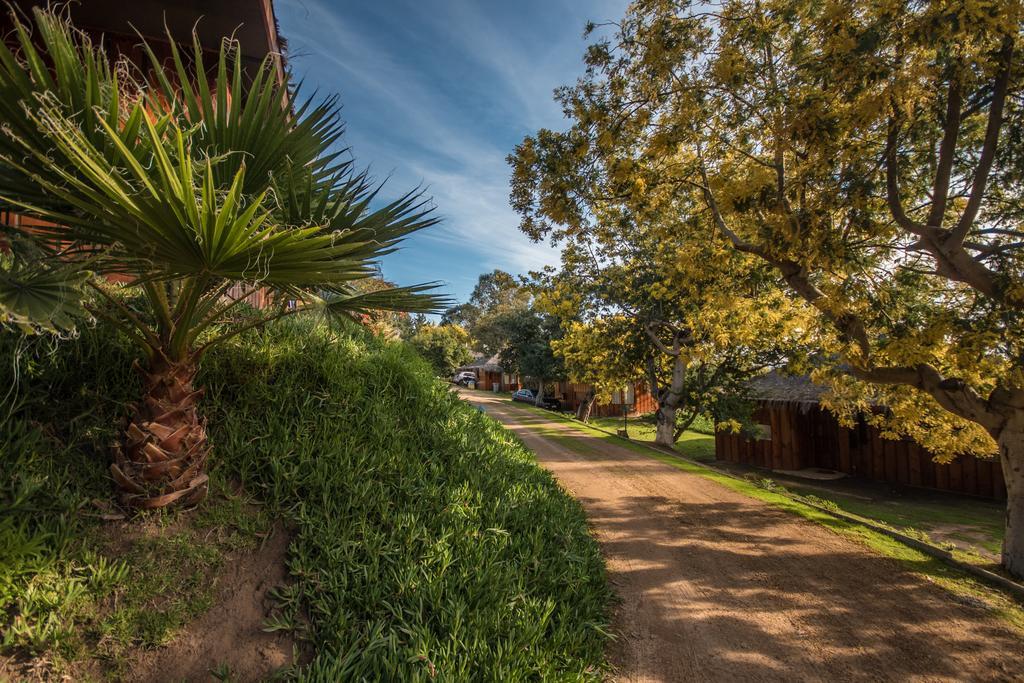 Pao Pao Lodge Algarrobo Bagian luar foto